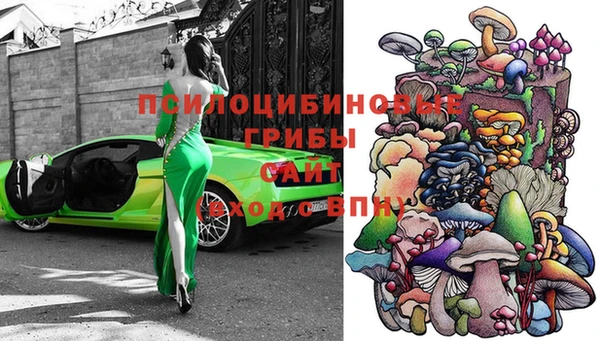 скорость Дубовка